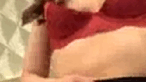 clip181 1