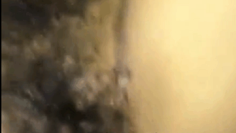 clip182