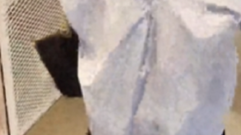 clip 9 1