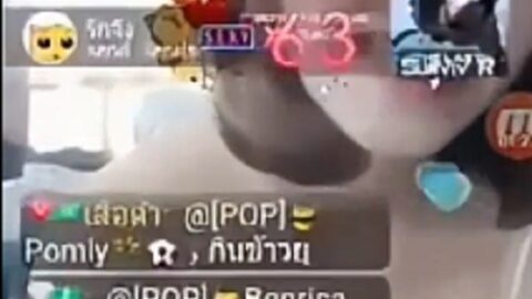 clip4 1 4