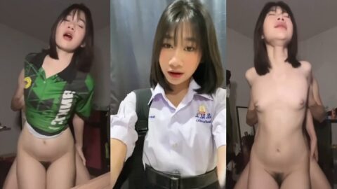 T0249
